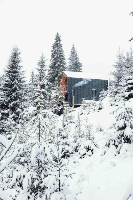 Шале Dereva Jablunytsja Exteriör bild