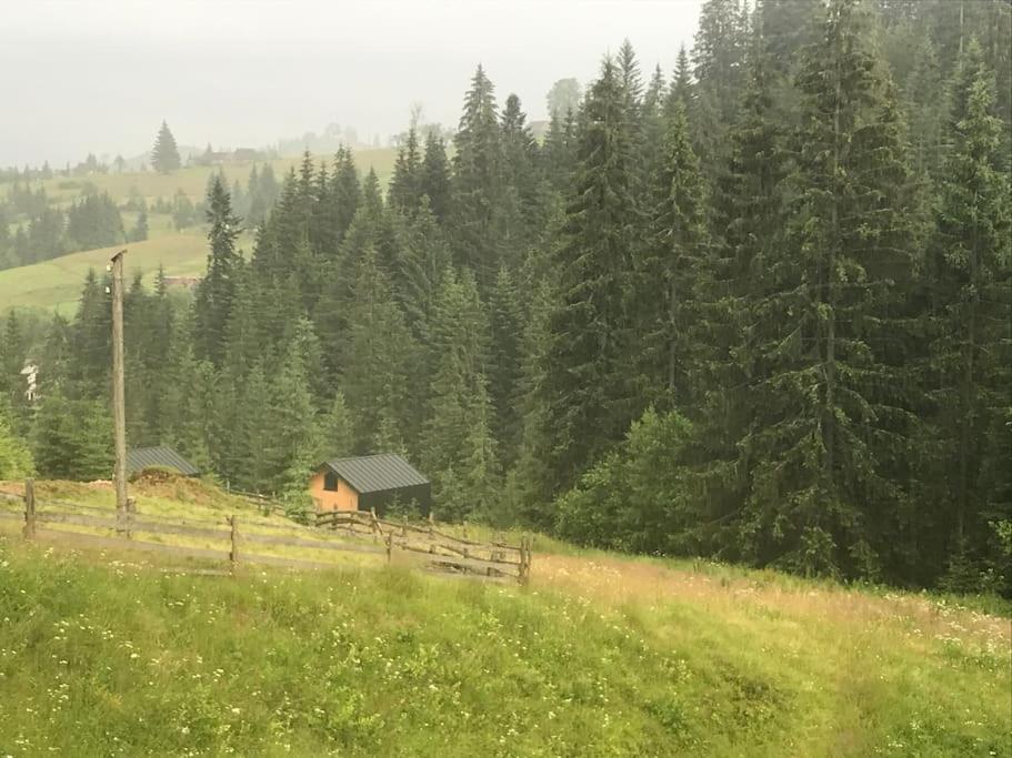 Шале Dereva Jablunytsja Exteriör bild