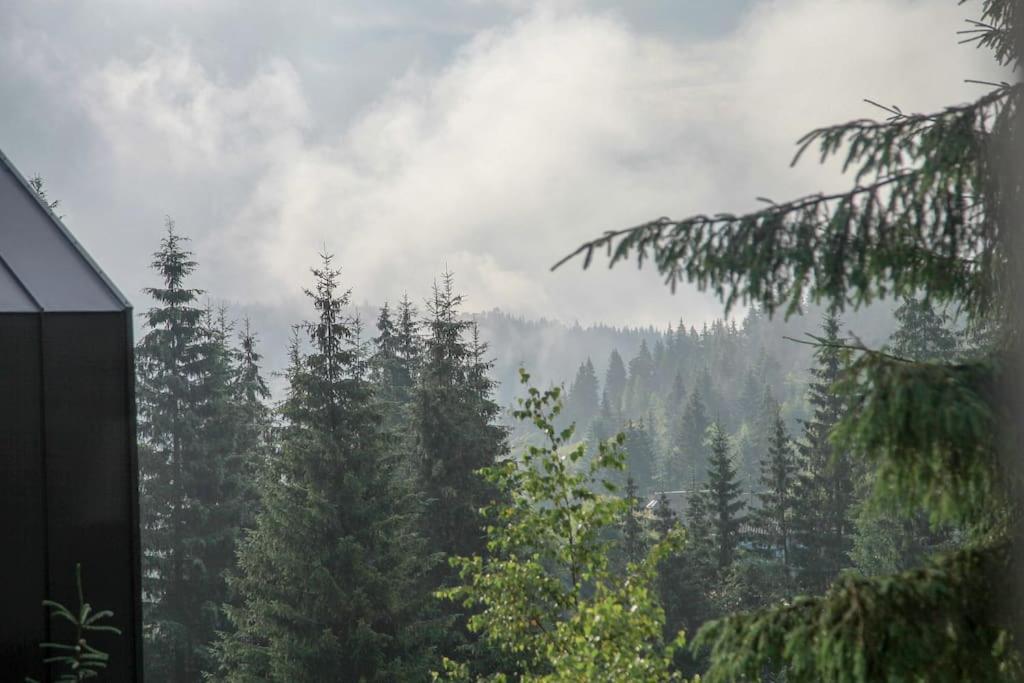 Шале Dereva Jablunytsja Exteriör bild