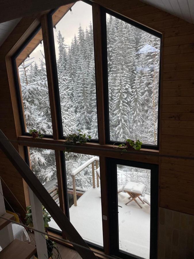 Шале Dereva Jablunytsja Exteriör bild